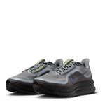 Nike Pegasus Premium 41 Gris & Vert