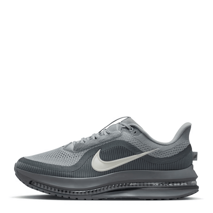 Nike Pegasus Premium 41 Gris