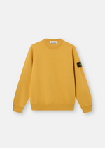 Sweat PULL COTON MOUTARDE STONE - photo 1/5 - UrbanDrip